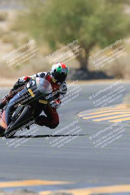 media/May-14-2023-SoCal Trackdays (Sun) [[024eb53b40]]/Turn 5 Tree of Life (1125am)/